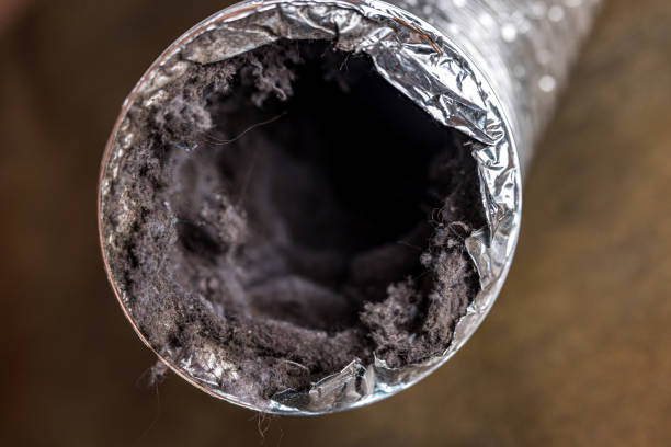 Best Air Quality Test  in Drain, OR